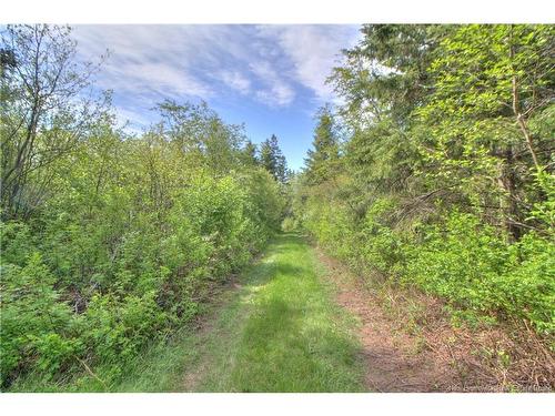 Lot Route 470, West Branch, NB 
