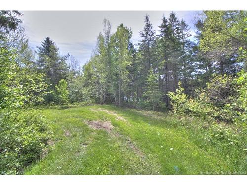 Lot Route 470, West Branch, NB 