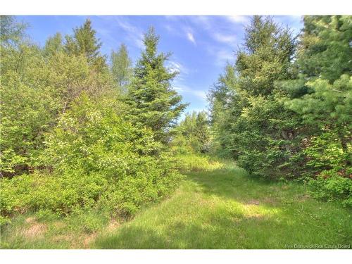 Lot Route 470, West Branch, NB 
