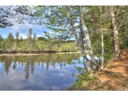 Lot Route 470, West Branch, NB 