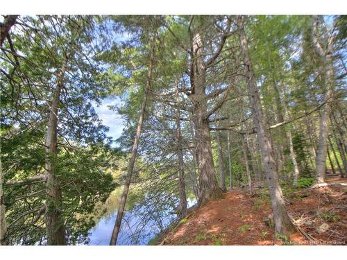 Lot Route 470, West Branch, NB 