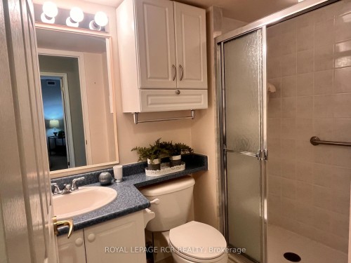 212-900 Bogart Mill Trail, Newmarket, ON - Indoor Photo Showing Bathroom