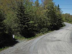 McMullin Road, Antrim Lot B Road  Antrim, NS B0N 1Y0