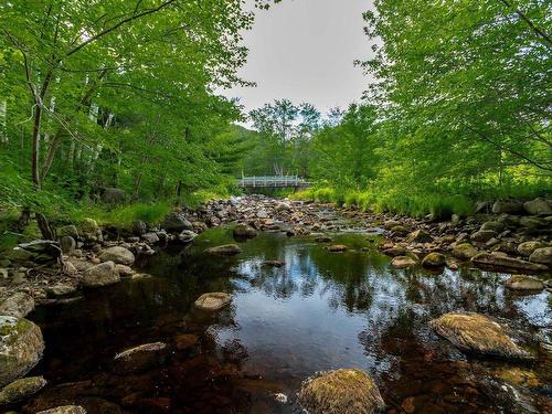 1438 River Road, Bear River, NS 
