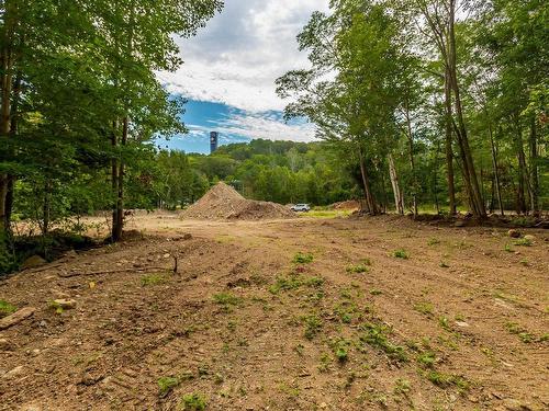 1438 River Road, Bear River, NS 