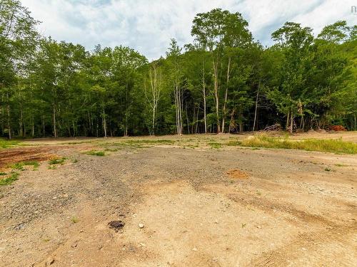 1438 River Road, Bear River, NS 