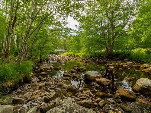 1438 River Road, Bear River, NS 