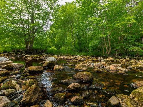 1438 River Road, Bear River, NS 