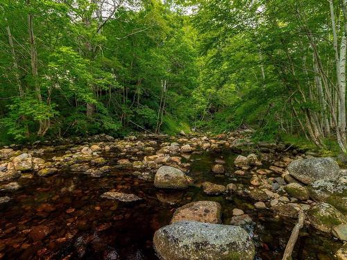 1438 River Road, Bear River, NS 