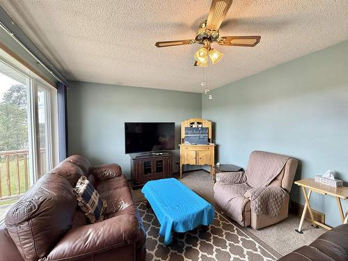 232 Rabbit Lake Road, Kenora, ON - Indoor Photo Showing Living Room