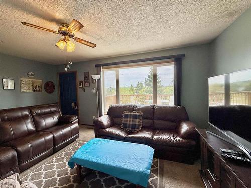 232 Rabbit Lake Road, Kenora, ON - Indoor Photo Showing Living Room