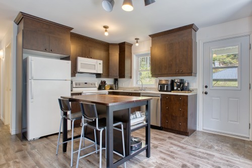 Kitchen - 930 Ch. Gillespie, Sainte-Agathe-Des-Monts, QC - Indoor Photo Showing Kitchen