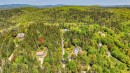 Aerial View - 930 Ch. Gillespie, Sainte-Agathe-Des-Monts, QC  - Outdoor With View 