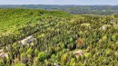 Aerial View - 930 Ch. Gillespie, Sainte-Agathe-Des-Monts, QC  - Outdoor With View 