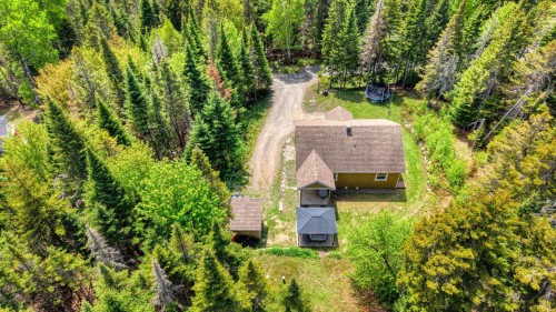 Overall view - 930 Ch. Gillespie, Sainte-Agathe-Des-Monts, QC - Outdoor