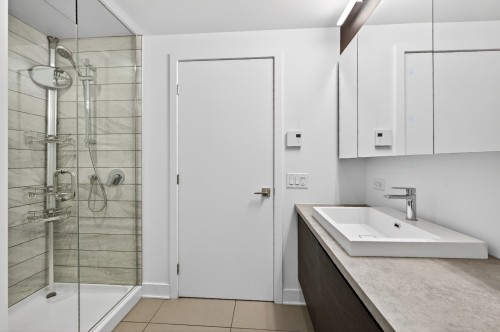 Salle de bains - 145-3100 Rue Rachel E., Montréal (Rosemont/La Petite-Patrie), QC - Indoor Photo Showing Bathroom