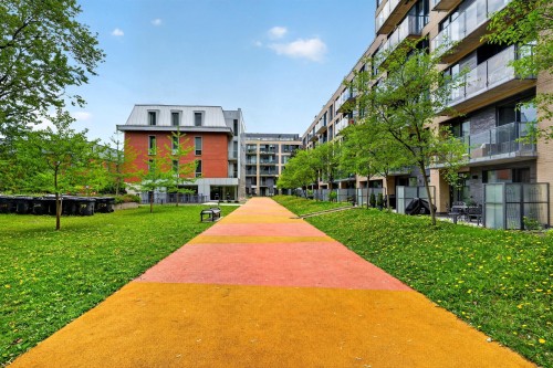 Extérieur - 145-3100 Rue Rachel E., Montréal (Rosemont/La Petite-Patrie), QC - Outdoor