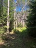 Woodland - 368 Ch. Brown, Litchfield, QC  - Outdoor With View 