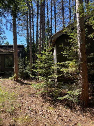 Dwelling - 368 Ch. Brown, Litchfield, QC - Outdoor