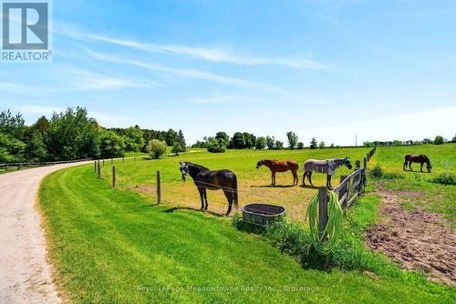 8122 Eramosa Garafraxa Townline, Centre Wellington, ON - Outdoor