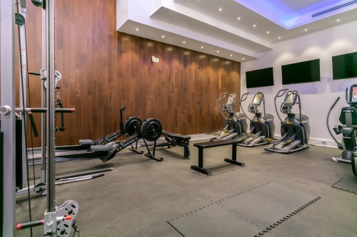 Exercise Room - 1405-1188 Av. Union, Montréal (Ville-Marie), QC - Indoor Photo Showing Gym Room