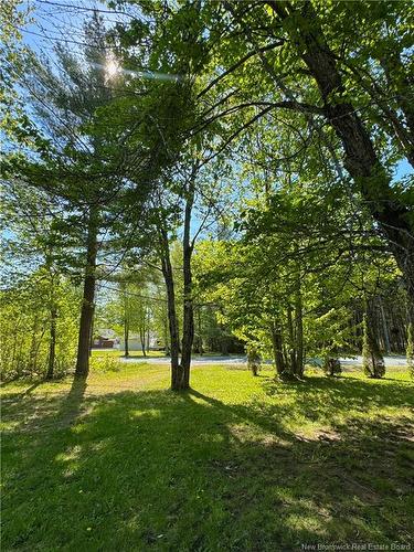 491 Mckinnon Rd, Miramichi, NB 