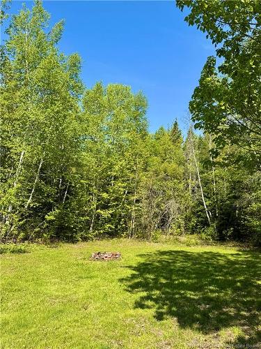 491 Mckinnon Rd, Miramichi, NB 