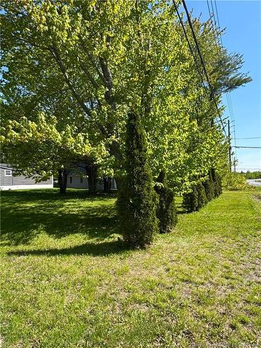491 Mckinnon Rd, Miramichi, NB 