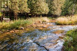 Noisy River - 