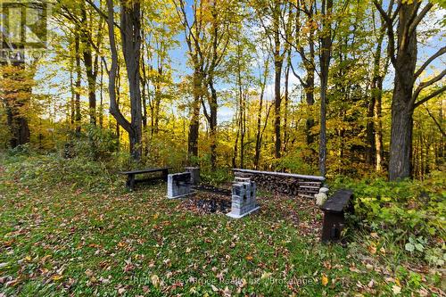 3476 Garden Of Eden Road, Clearview, ON 