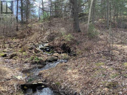 Creek at edge of property - 410 Ranger, Parry Sound Remote Area (Blair), ON 