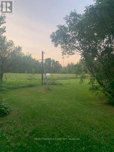 yard - 410 Green Lake Road, North Algona Wilberforce, ON 