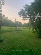 yard - 