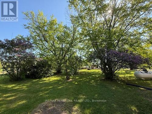 mature apple trees - 410 Green Lake Road, North Algona Wilberforce, ON 