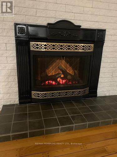 living room fireplace - 410 Green Lake Road, North Algona Wilberforce, ON 