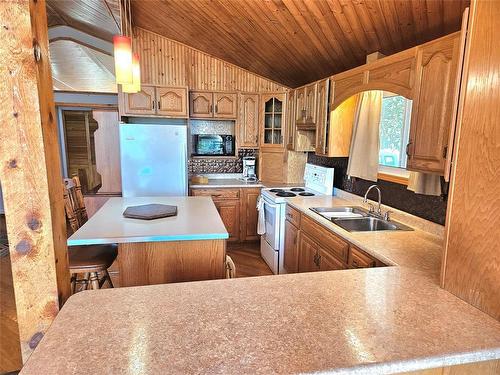 2 Weeping Birch Avenue, Gimli Rm, MB - Indoor Photo Showing Kitchen With Double Sink