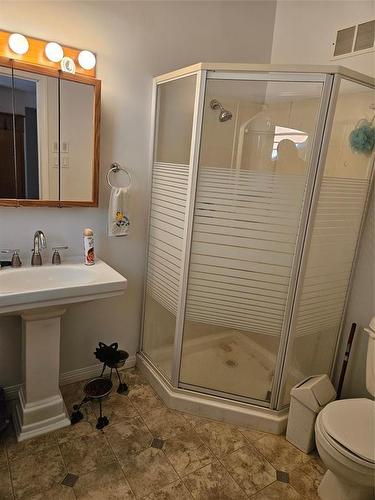 Main Bathroom - 2 Weeping Birch Avenue, Gimli Rm, MB - Indoor Photo Showing Bathroom