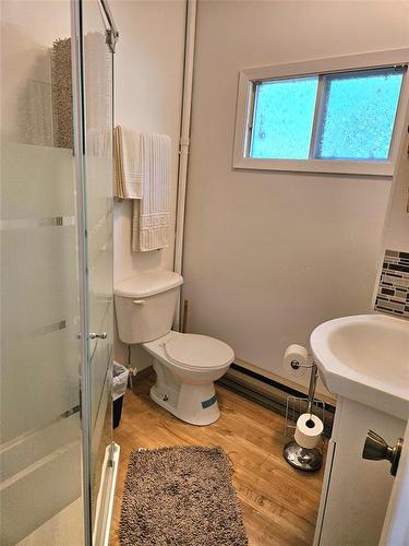 Guest House Bathroom - 2 Weeping Birch Avenue, Gimli Rm, MB - Indoor Photo Showing Bathroom