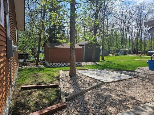 2 Weeping Birch Avenue, Gimli Rm, MB - Outdoor