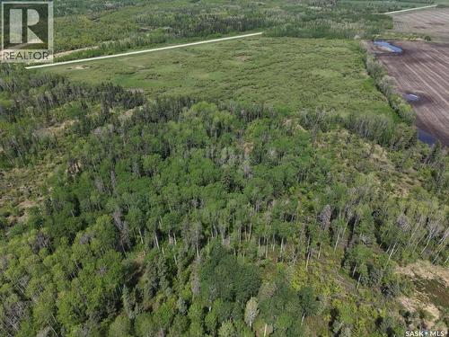 93 Acres Hwy#9 South, Hudson Bay Rm No. 394, SK 