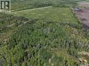 93 Acres Hwy#9 South, Hudson Bay Rm No. 394, SK 