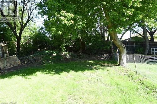 Expansive backyard featuring a lush lawn, mature trees, and a chain-link perimeter fence - 12 Wood Street W, Hamilton, ON - Outdoor