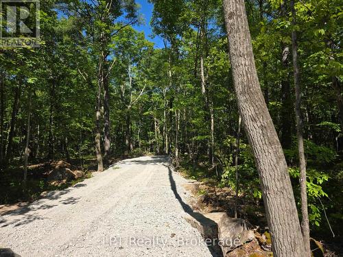 38 Marble Point Road, Marmora And Lake (Marmora Ward), ON 