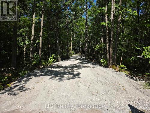38 Marble Point Road, Marmora And Lake (Marmora Ward), ON 