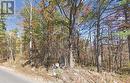 Pt Lot 8 Marble Point Road, Marmora And Lake (Marmora Ward), ON 