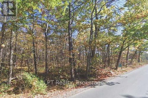 Pt Lot 8 Marble Point Road, Marmora And Lake (Marmora Ward), ON 