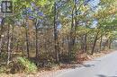 Pt Lot 8 Marble Point Road, Marmora And Lake (Marmora Ward), ON 