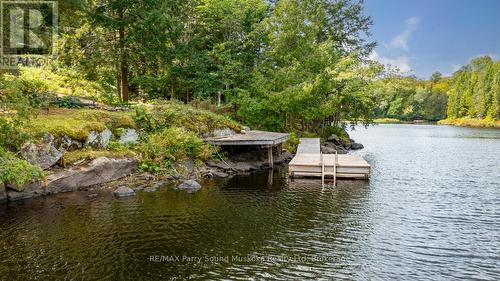 252 Dunchurch Estates Road, Whitestone (Hagerman), ON 