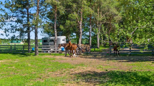 426079 25 Side Road, Mono, ON - Outdoor With View
