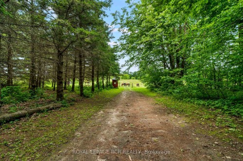 426079 25 Side Road, Mono, ON - Outdoor